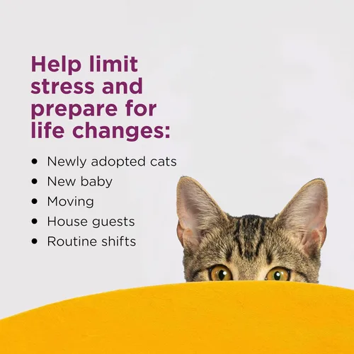 Miniatura 3 de Comfort Zone Recambio de difusor calmante para gatos, 1 paquete – Los recambios de feromonas calmantes para gatos ayudan a reducir la ansiedad