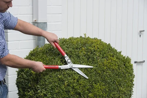 Miniatura 5 de BERGER - Cizalla Topiary 2510 con mango de madera de haya con cuchillas autoafilables, longitud 17.7 in