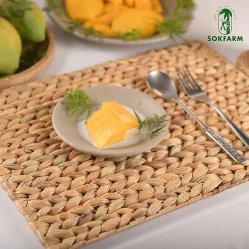 Miniatura 6 de Juego de 10 manteles individuales tejidos bohemios, individuales para mesa de comedor, manteles individuales de Pascua Farmhous Egreen, individuales