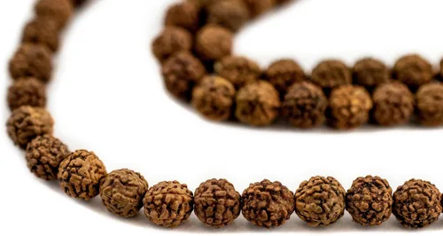 The Bead Chest Cuentas Rudraksha Mala de 0.236 in – 108 auténticas cuentas de rosario nepalí de oración