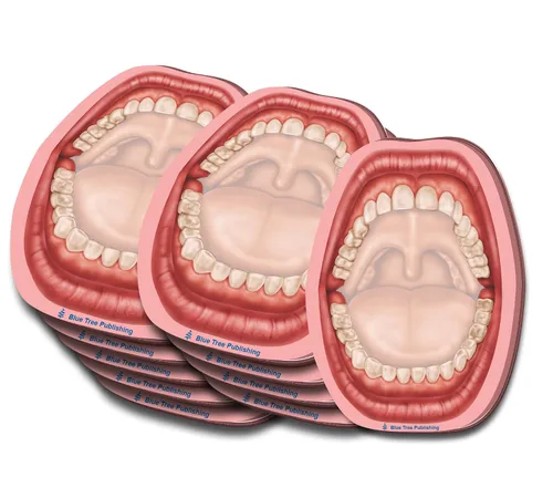 Miniatura 31 de Notas Adhesivas de Anatomía