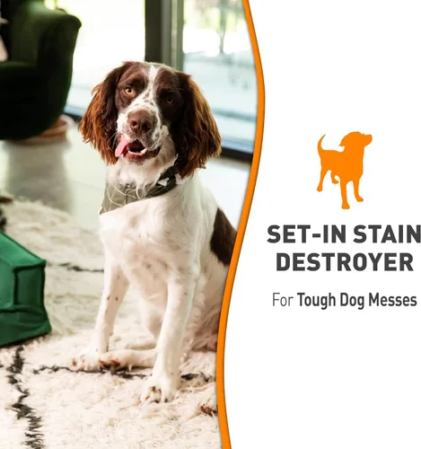 Miniatura 3 de Nature's Miracle Destructor de manchas para desorden de perros, 24 onzas, fórmula Oxy con aroma a naranja