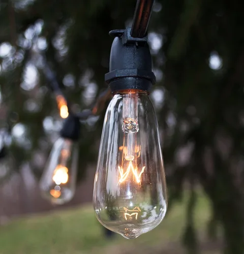 Miniatura 3 de Hometown Evolution, Inc. Cadena de luces Edison vintage de grado comercial para exteriores (ST40 transparente, cable negro comercial, 25 pies)