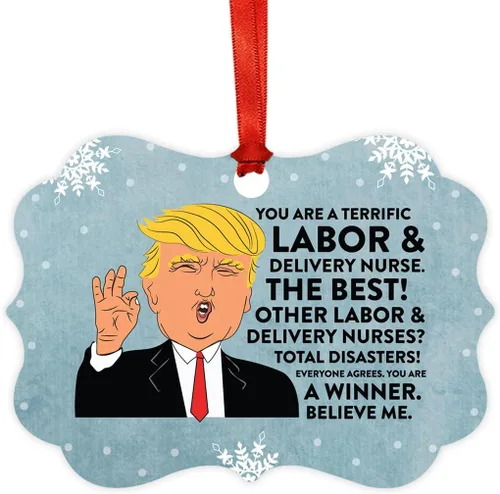 Miniatura 32 de Andaz Press Presidente Donald Trump Fancy Frame Recuerdo Adorno de Navidad Regalo de broma Ejecutivo de Cuenta, 1 paquete, Divertidas Ideas
