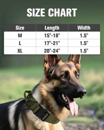 Miniatura 7 de Joytale Collar táctico para perro con asa, collar militar ajustable y resistente con 2 parches para entrenamiento, adecuado para perros medianos