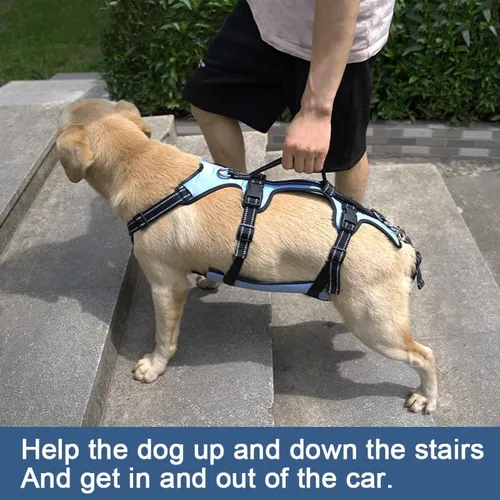 Miniatura 2 de Arnés de elevación para perros Coodeo, soporte completo del cuerpo y correa de recuperación, chaleco de elevación para rehabilitación de mascotas