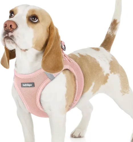 Miniatura 55 de rabbitgoo Arnés para perro pequeño, chaleco de malla suave para cachorros con hebilla de seguridad, arnés reflectante transpirable para mascotas