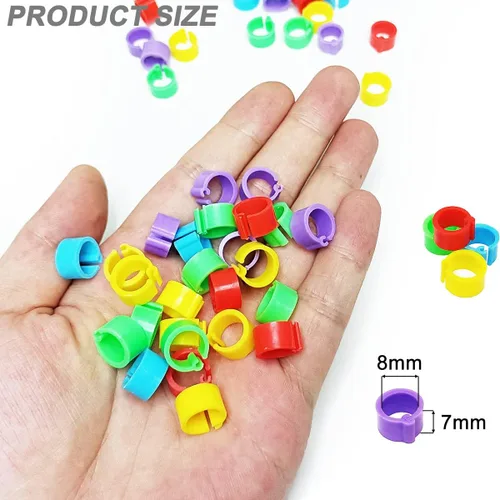 Miniatura 2 de 200Pcs 8mm Bandas para piernas de Coturnix y codorniz bebé Bandas para piernas de pollo Bandas para piernas de paloma Anillos para piernas de pollo