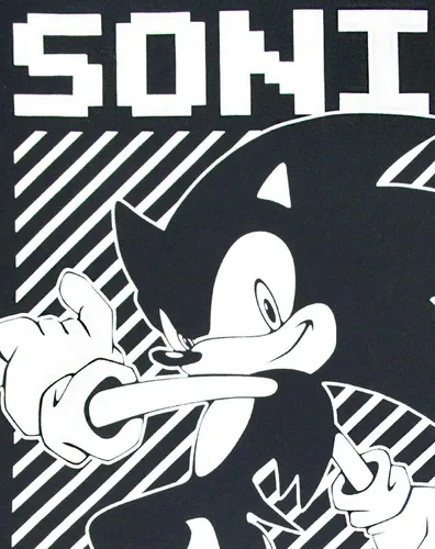 Miniatura 4 de Sonic The Hedgehog