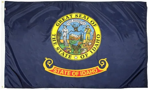 Miniatura 44 de FlagSource Bandera del estado de nailon de Iowa, fabricada en los Estados Unidos, 4 x 6 pies Iowa 4x6