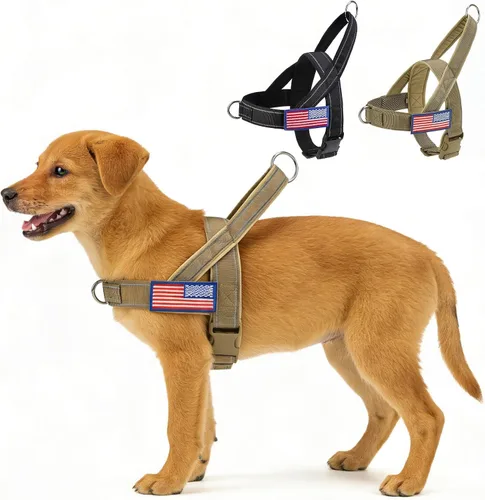 Miniatura 13 de BINGPET Arnés sin tirones para perros pequeños A prueba de fugas y sin estrangulamiento Chaleco acolchado suave con asa y clip frontal