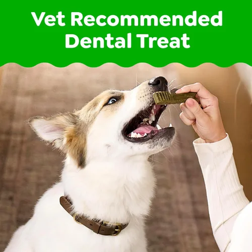 Miniatura 3 de Greenies Golosinas dentales naturales para perros adultos recomendadas por veterinarios, tamaño regular, sabor original, paquete de 3 onzas, 3