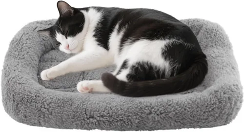 Tapete de cama pequeño para gatos, cojín de felpa de 22 x 16 pulgadas con almohada circundante para perros pequeños a medianos, gatos, camas para