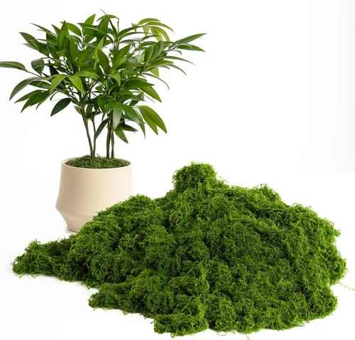 Musgo artificial ultra realista de 5.3 onzas, musgo verde falso realista para manualidades, jardines de hadas, decoración de bricolaje. Conservado,