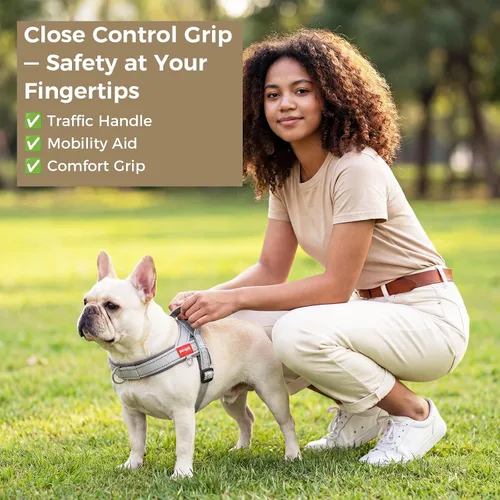 Miniatura 8 de Arnés sin tirones para perro, con asa, chaleco reflectante ajustable Corgi, arnés acolchado de malla de aire transpirable para mascotas con clip