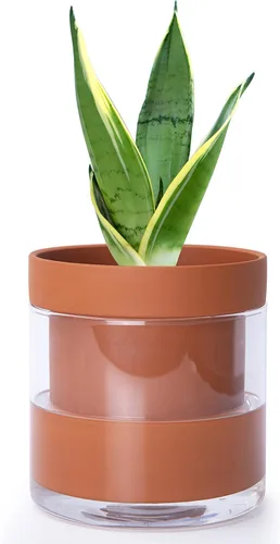Maceta Phoenix Vine de 6 Pulgadas con Riego Automático, Maceta de Arcilla Terracota con Reservario de Vidrio para Plantas de Interior, Hierbas,