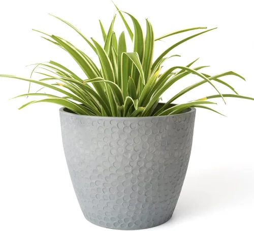 Macetas para exteriores e interiores - contenedores para plantas, macetas en color blanco, tipo panal
