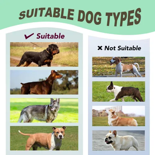 Miniatura 5 de TSPRO Arnés táctico sin tirones para perro, asa de control superior, hebilla de liberación rápida, ajustable, a prueba de escapes, para perros