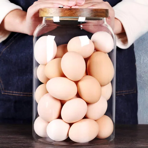 SAIOOL Tarro para huevos, bote de cocina, tarros grandes de vidrio para almacenamiento de alimentos de 1 galón con tapa hermética, transparente