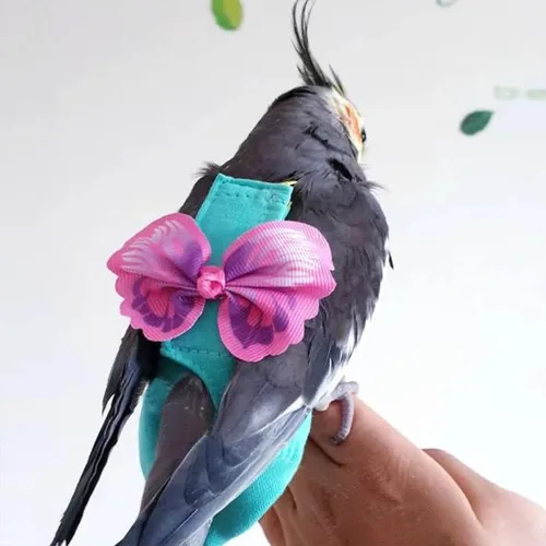 Miniatura 3 de Arnés de 2 piezas para pañales para pájaros con forro impermeable, ropa para pañales para pájaros con correa voladora, cuerda protectora para loros