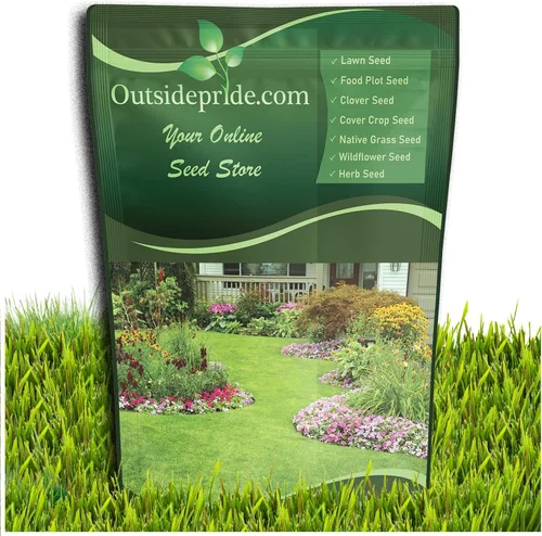 Outsidepride Semillas anuales de Ryegrass – 5 libras. Resistentes y de crecimiento rápido, semillas de cultivo de cobertura para plantar hojas de