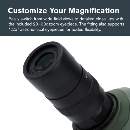 Miniatura 5 de Celestron – Regal M2 80ED telescopio de observación – Vidrio ED para observación de aves y actividades al aire libre – Prisma BaK-4 recubierto