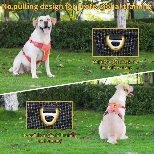 Miniatura 3 de LIOPARD Arnés para perro, arnés para mascotas fácil de caminar sin tirones, con 2 clips para correa, chaleco reflectante suave acolchado ajustable