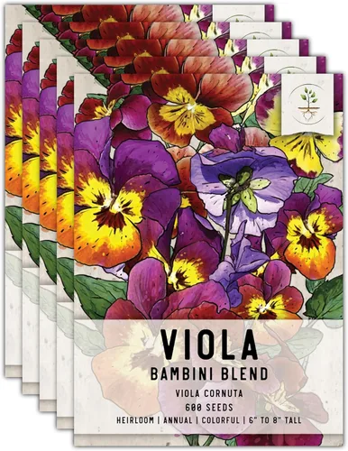 Miniatura 20 de Seed Needs Johnny Jump Up Semillas para plantar violas, reliquia y flores polinizadas abiertas para plantar un jardín de mariposas lleno de flores