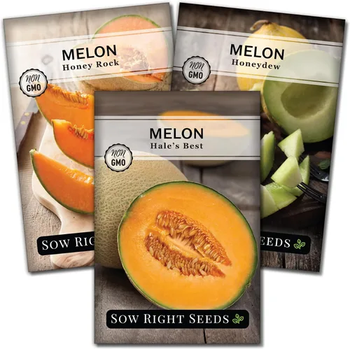 Sow Right Seeds - Colección de semillas de frutas de melón para plantar - Paquetes individuales Honey Rock, Hales Best y Honeydew Melon - Semillas
