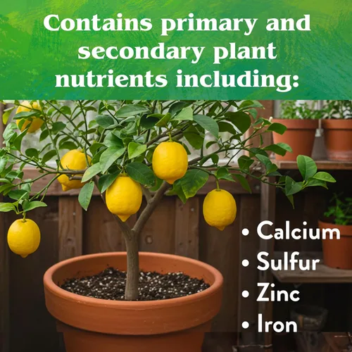 Miniatura 6 de Down To Earth All Natural Fertilizers Mezcla orgánica de cítricos - Alimento vegetal para limones, limas, naranjas y aguacates 6-3-3, 1 lb