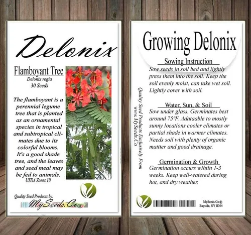 Miniatura 6 de Delonix regia (árbol extravagante), 5 pétalos arrugados en forma de cuchara, flores de color rojo brillante, elige la cantidad (1 unidad)