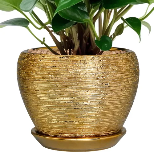 Miniatura 52 de Maceta de Cerámica Moderna con Esmalte para Suculentas con Agujero de Drenaje y Platillo, Maceta Redonda de 6 Pulgadas para Plantas de Flores