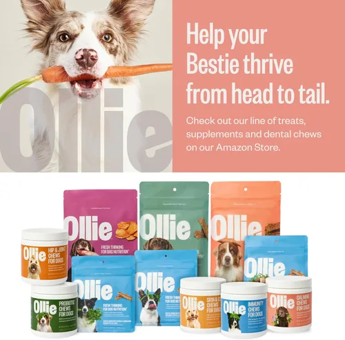 Miniatura 6 de Ollie Paquete Variado de Golosinas Jerky para Perros, Paquete de Pollo y Manzana y Carne de Res y Batata Dulce, Completamente Natural, Saludable