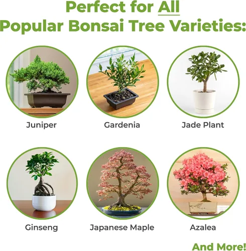 Miniatura 3 de Tierra para bonsái de Perfect Plants - 2qts. Mezcla premium multiusos para variedades de árboles bonsái