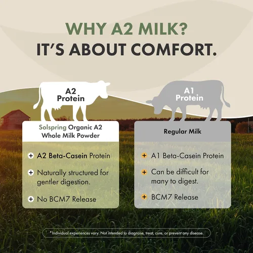 Miniatura 4 de Dr. Mercola Solspring - Leche entera seca orgánica A2 - Leche en polvo con beta-caseína A2 para menos molestias digestivas, orgánica, sin gluten