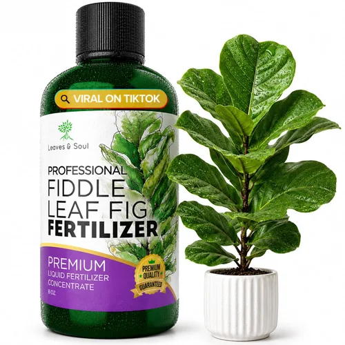 Leaves and Soul Fertilizante líquido profesional para plantas de higuera de hoja de violín | 3-1-2 concentrado para plantas de interior | Botella de