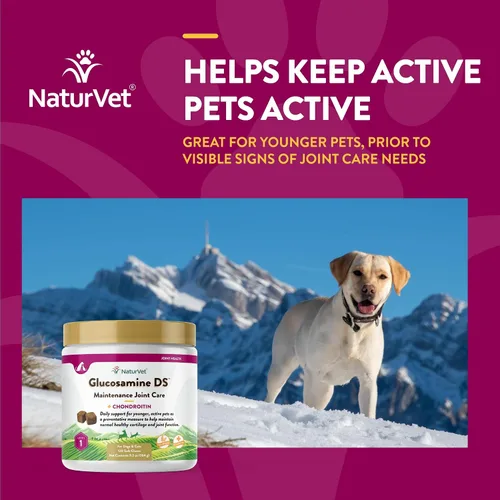 Miniatura 4 de NaturVet Glucosamina DS Nivel 1 Mantenimiento, Suplemento de apoyo para el cuidado de las articulaciones para perros y gatos, masticables suaves