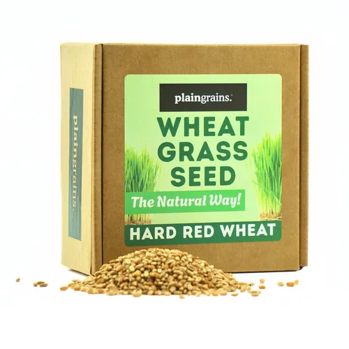 PlainGrains. The Natural Way - Semillas de pasto de trigo de 1.5 libras | 100% semillas de hierba de trigo para brotar | Semillas de hierba para