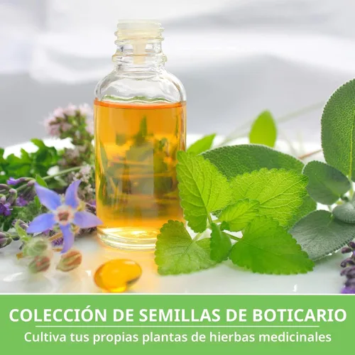 Miniatura 4 de Semillas de hierbas para té medicinal para sembrar Paquete de 9 variedades de hierbas autóctonas, sin OMG – Cultive tés herbales, remedios