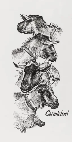 Miniatura 5 de caja de bolígrafos con líneas de 4 anchuras en negro, de Faber Castell, para la pigmentación de dibujos con tinta china, de Pitt