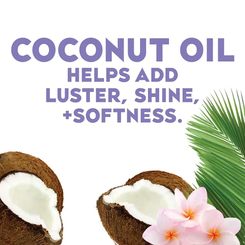 Miniatura 5 de OGX Nebulizador Capilar de Aceite Hidratante Nutritivo + Aceite de Coco Sin Peso, Tratamiento Capilar Ligero Sin Enjuague con Aceite de Coco