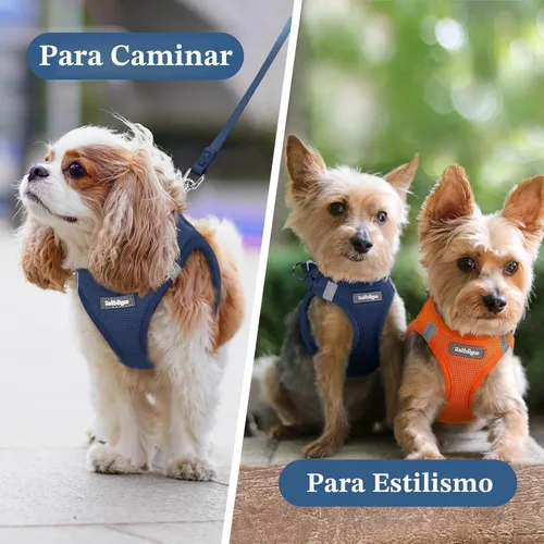 Miniatura 9 de rabbitgoo Arnés para perro pequeño, chaleco de malla suave para cachorros con hebilla de seguridad, arnés reflectante transpirable para mascotas