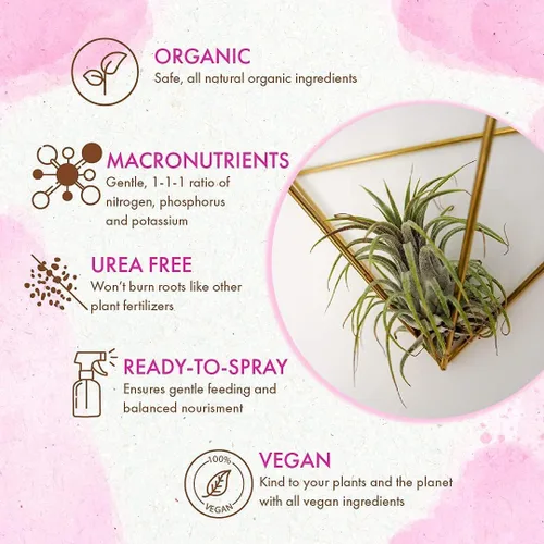 Miniatura 3 de Alimento orgánico listo para rociar para plantas de aire - Niebla fertilizante para uso semanal - Mejor para Tillandsia viva, bromelias y otras