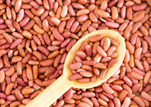 Miniatura 5 de Food to Live Frijoles rojos claros, 1 libra – Frijoles secos enteros, crudos, germinables, veganos, a granel. Rico en fibra, potasio, proteína a