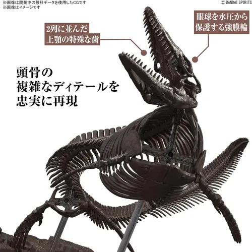 Miniatura 3 de Bandai Hobby Mosasaurus Imaginary Skeleton 1/32 Dinosaur Model Kit