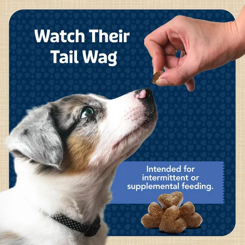 Miniatura 8 de Blue Buffalo Bits Golosinas suaves para entrenamiento para perros, hechas con ingredientes naturales y mejoradas con DHA, receta de pollo, bolsa