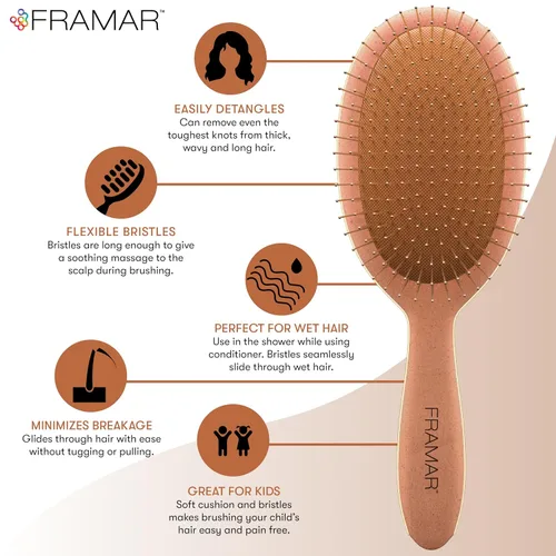 Miniatura 5 de FRAMAR Cepillo desenredante para cabello húmedo - Cepillos para cabello húmedo para mujeres, cepillos desenredantes para cabello grueso, cepillo