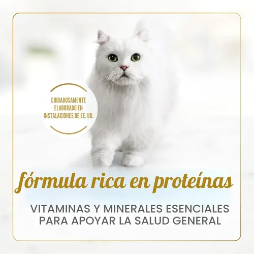 Miniatura 5 de Purina Fancy Feast Delicias con Pollo a la Parrilla con Cheddar, Pavo o Pescado Blanco y Queso Cheddar en Salsa, Juego de Variedad de Alimento