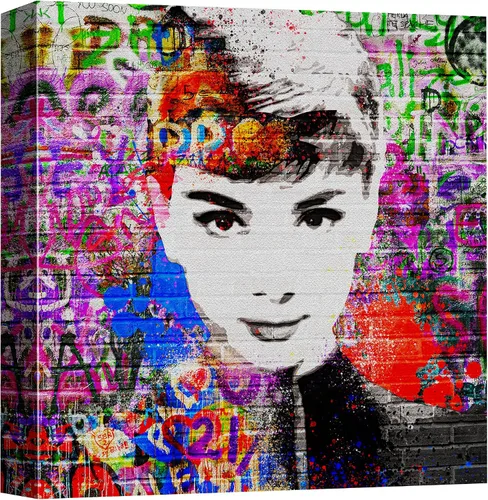 NWT Lienzo impreso para pared, pintura en aerosol de ladrillo Audrey Hepburn Retrato Graffiti y arte callejero, ilustraciones abstractas, arte