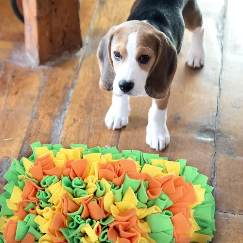 Miniatura 7 de LIVEKEY Alfombrilla de Olfato para Perros, Alfombrilla de Alimentación para Perros, Alfombrillas de Entrenamiento de Nariz para Instinto de Forrajeo
